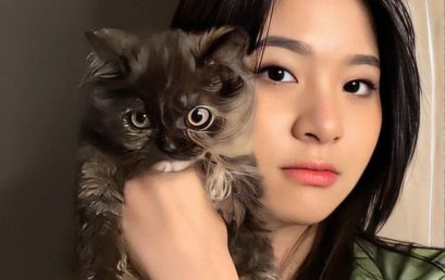 250 Nama Kucing Lucu sebagai Identitas Hewan Peliharaan